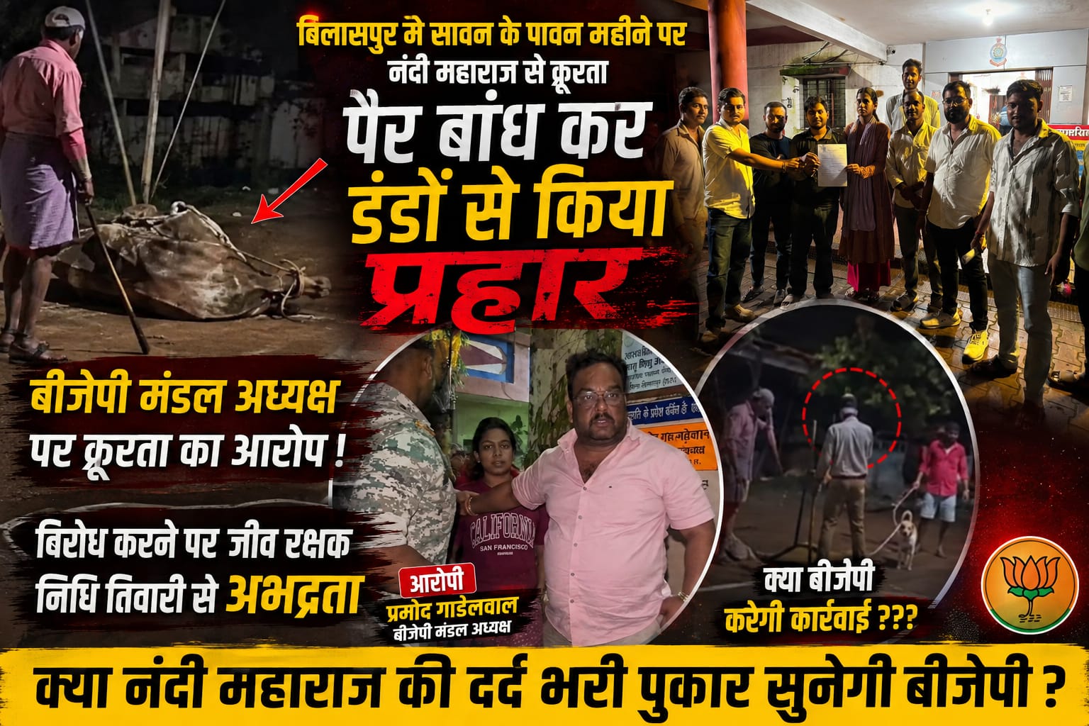 बिलासपुर में सावन के पावन महीने पर नंदी महाराज से क्रूरता पैर बांध कर डंडो से किया प्रहार, बीजेपीबिल्हा मंडल उपाध्यक्ष पर क्रूरता का आरोप। विरोध करने पर जीव रक्षक निधि तिवारी, शिवांश पांडे से अभद्रता। क्या बीजेपी करेगी कार्रवाई???