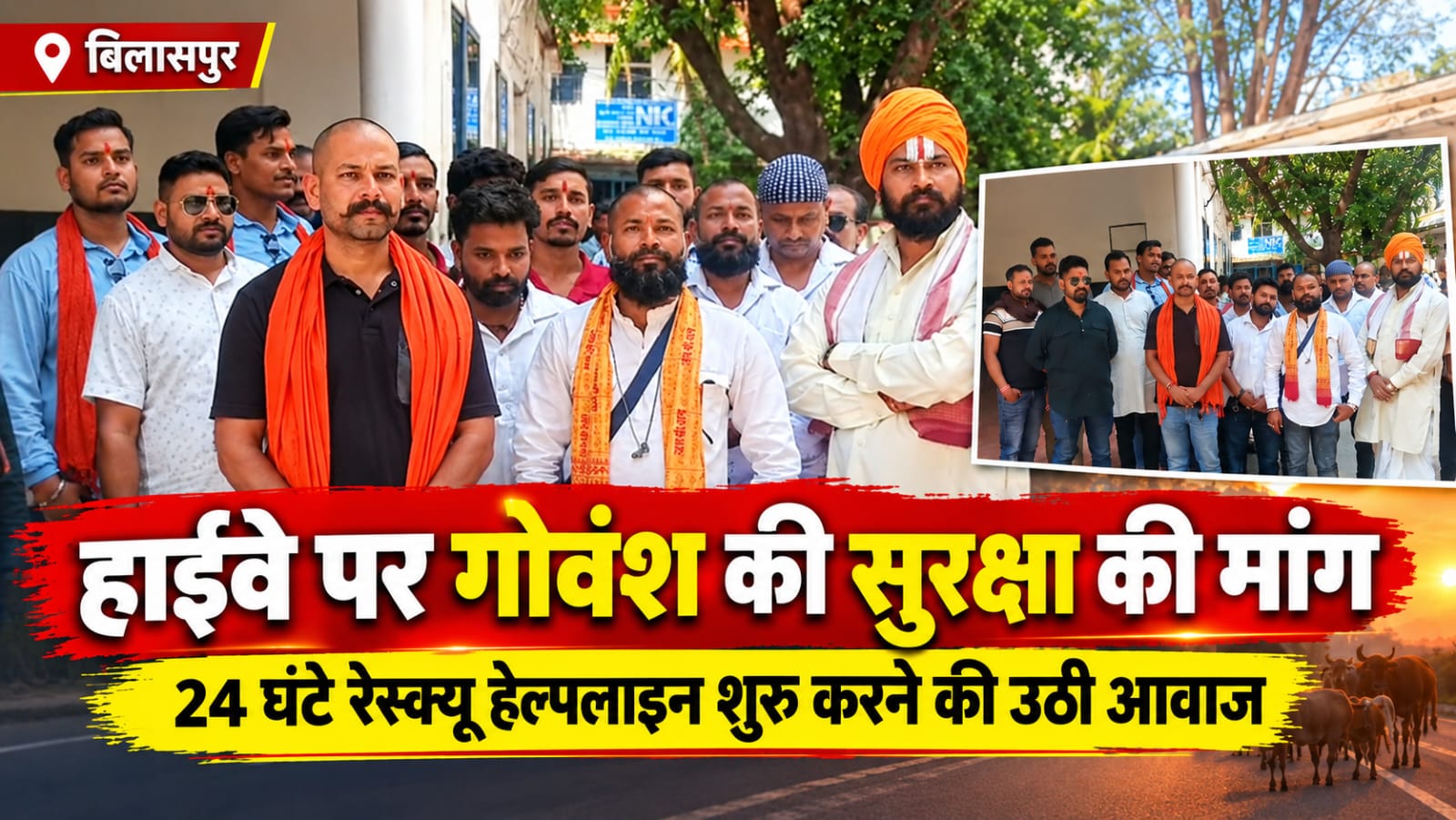 हाईवे पर गोवंश की सुरक्षा को लेकर प्रशासन से मांग, 24 घंटे रेस्क्यू हेल्पलाइन शुरू करने की उठी आवाज